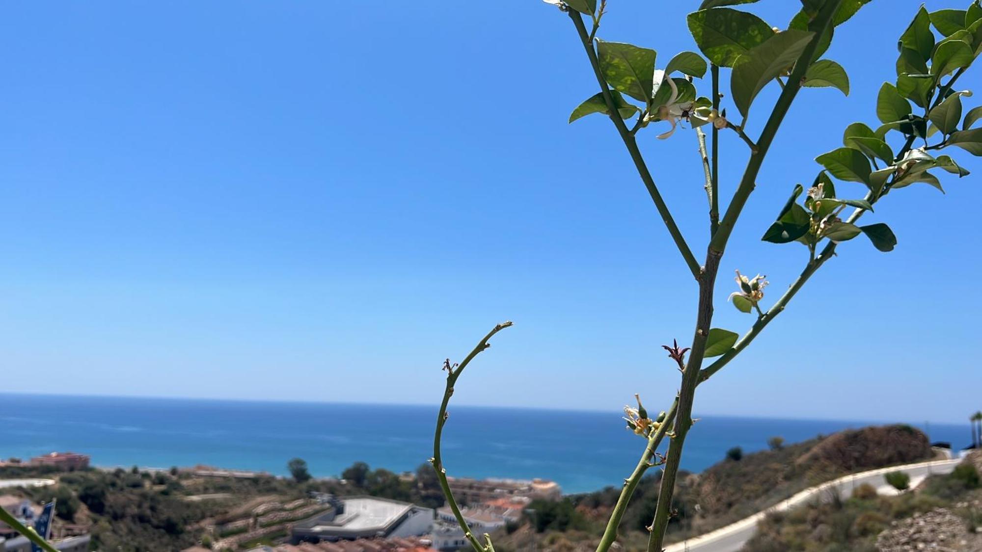Appartamento Rincon Idilia Rincón de la Victoria Esterno foto