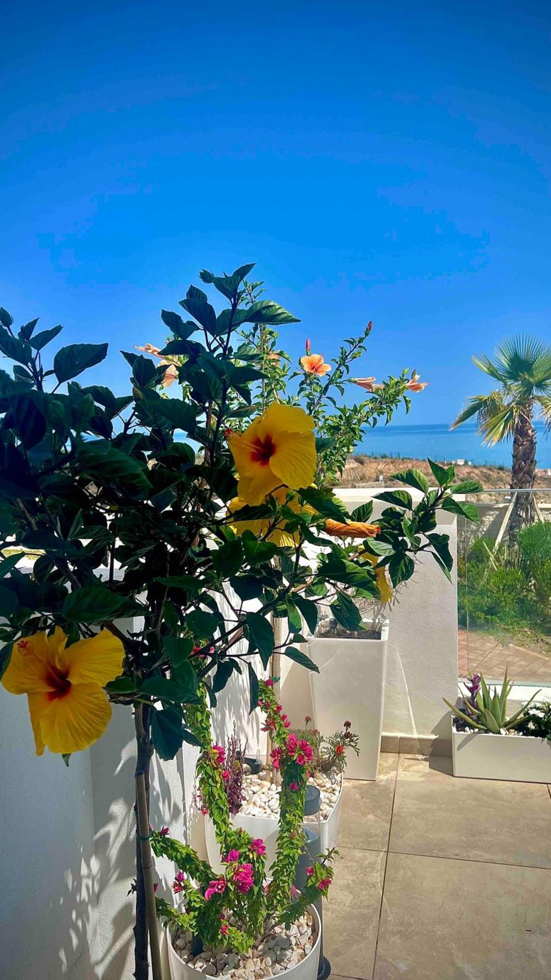 Appartamento Rincon Idilia Rincón de la Victoria Esterno foto